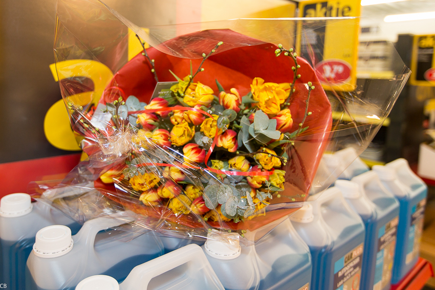 2015-02-04 Opening Hol (7 van 9).jpg