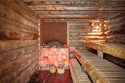 spr_sauna250.png