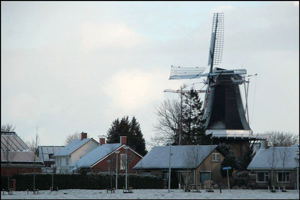 201603-24_Stormvogel_in_sneeuw.jpg